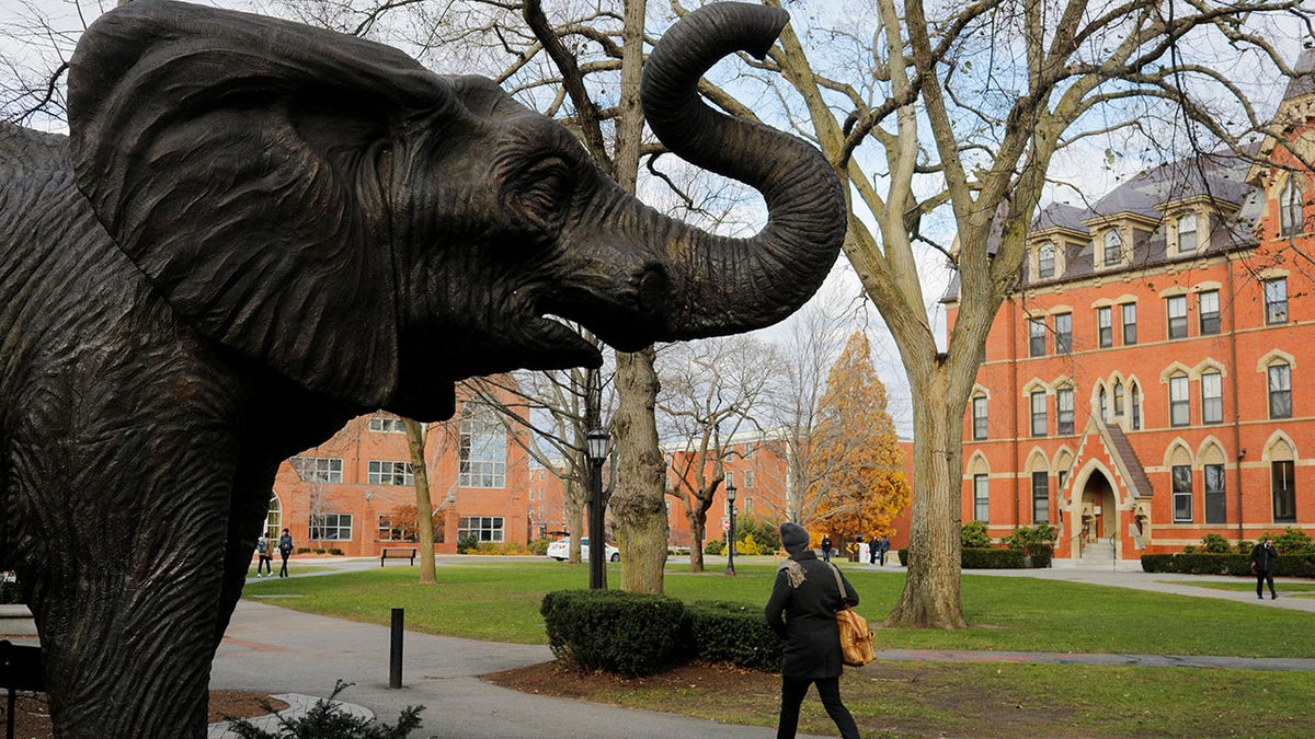 Tufts mascot and buildings