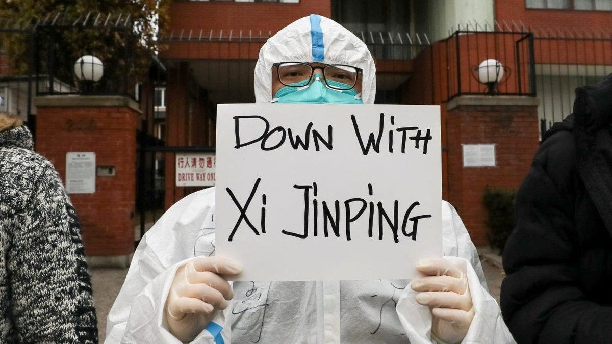 Person protesting Xi Jinping 