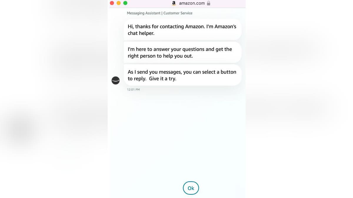 Screenshot of Amazon messaging assistant with dialogue explaining it is Amazon's chat helper with instructions to select a button to reply as it sends messages to the customer.