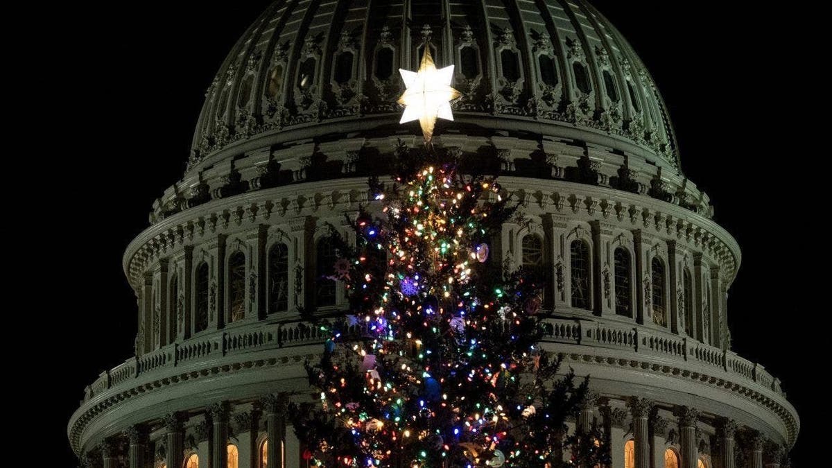  US Capitol Christmas Tree 