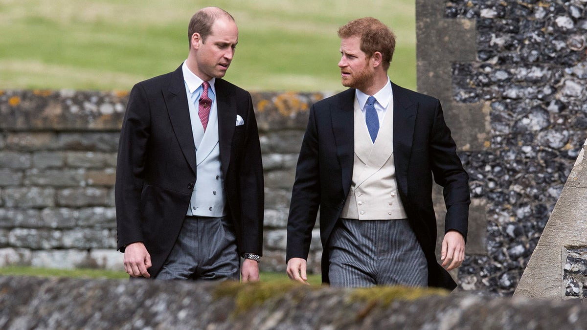 Prince William and Prince Harry looking serious
