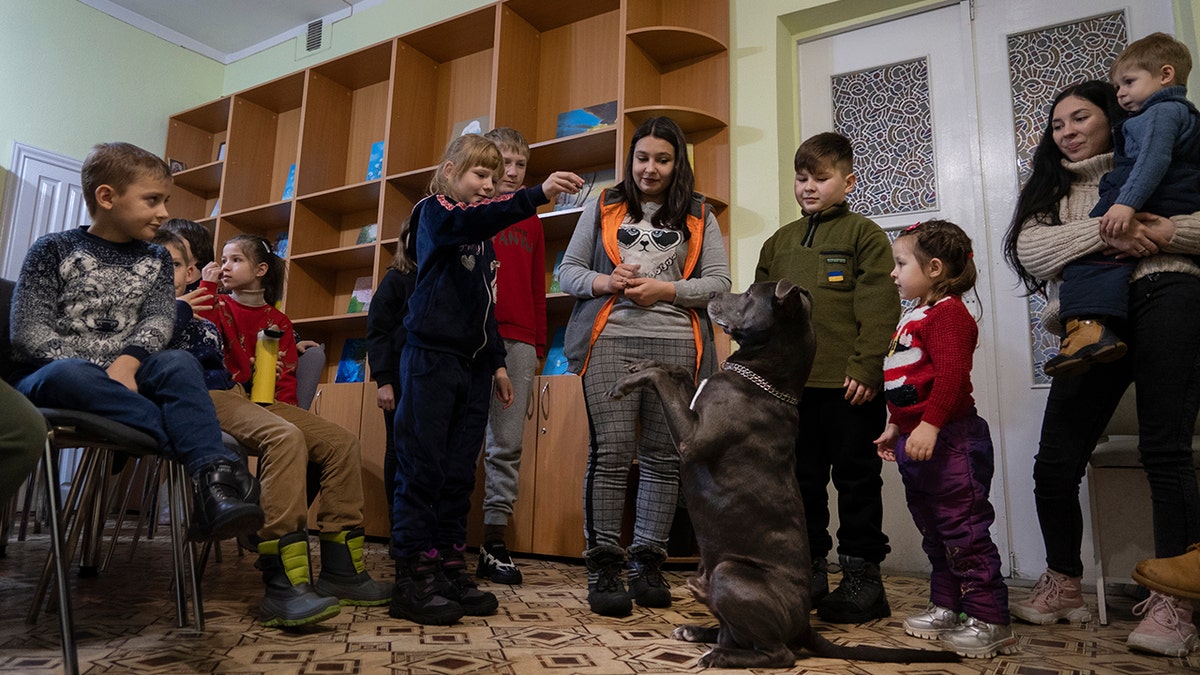 children ukraine dog therapy