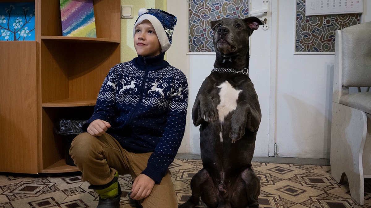 boy and dog ukraine