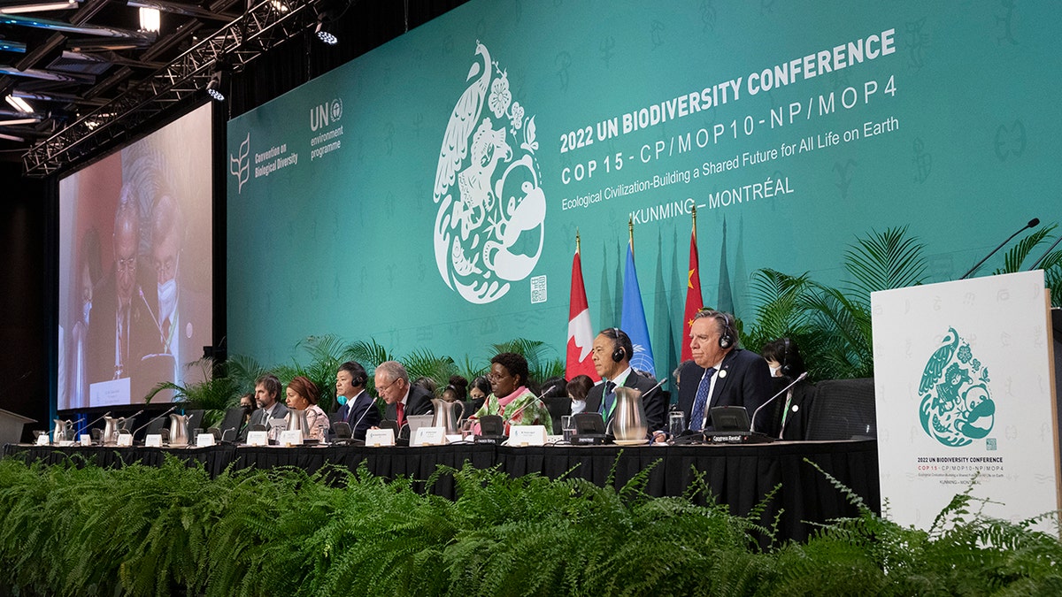 Panel at a conference with green backdrop