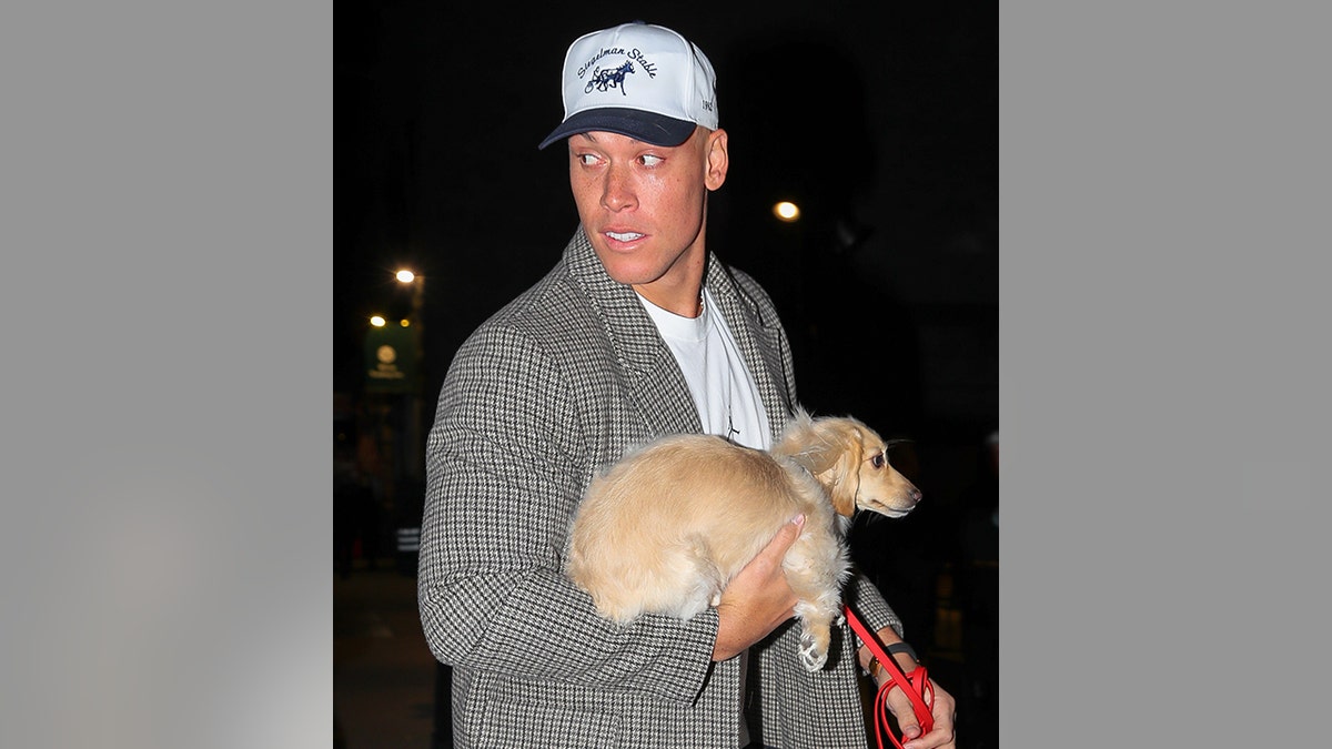 Aaron Judge's Tiny Dachshund Puppy Steals the Show at Yankee