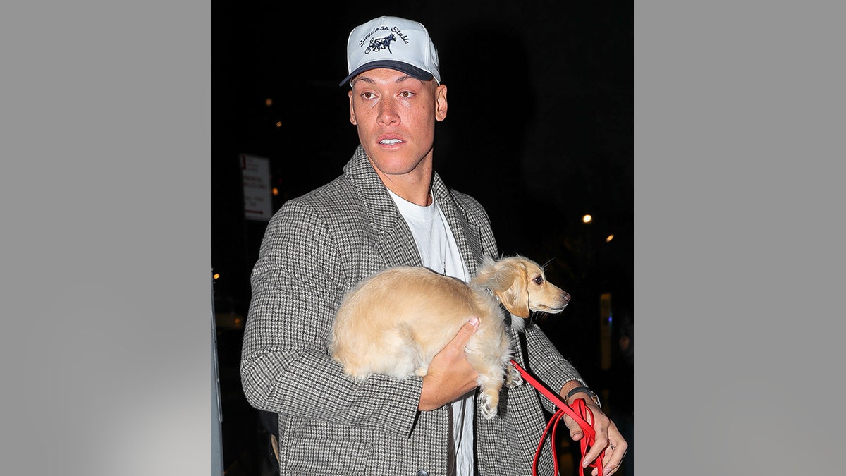 Aaron Judge Says His Dog's Bond With Teammate's Pet Sealed Yankees Deal.  See Why.