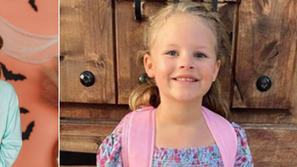 FedEx driver killing of Texas girl 