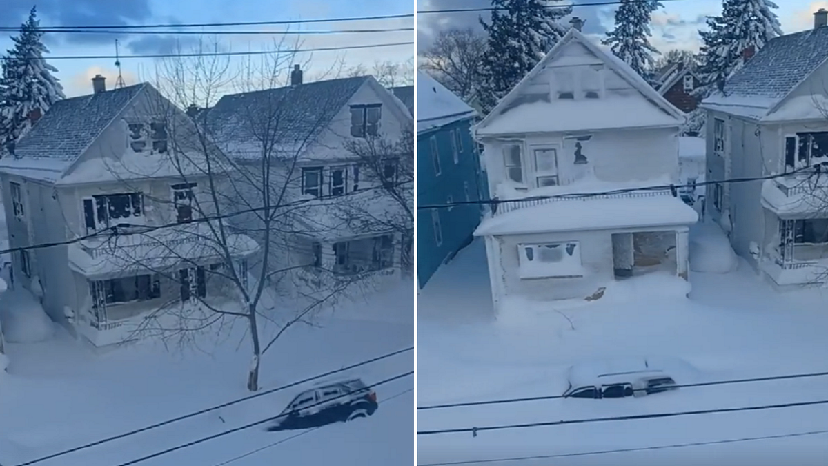 Vehicles covered with snow Buffalo New York