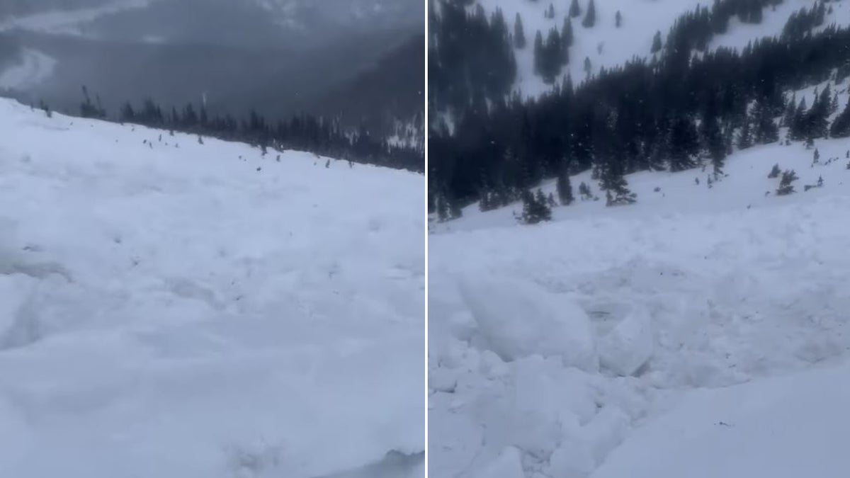 view down mountain after avalanche