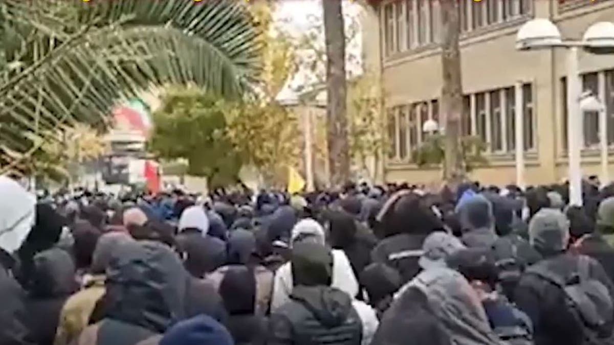 Iranian protesters, Mahsa Amini