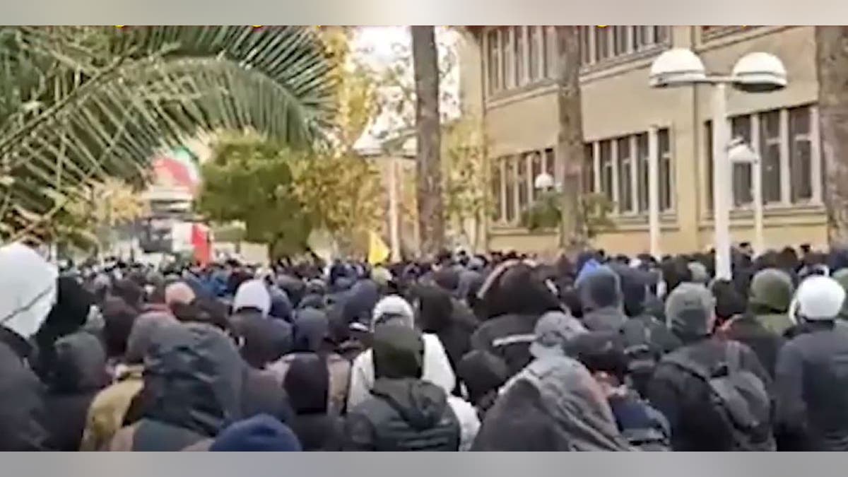 Iranian protesters