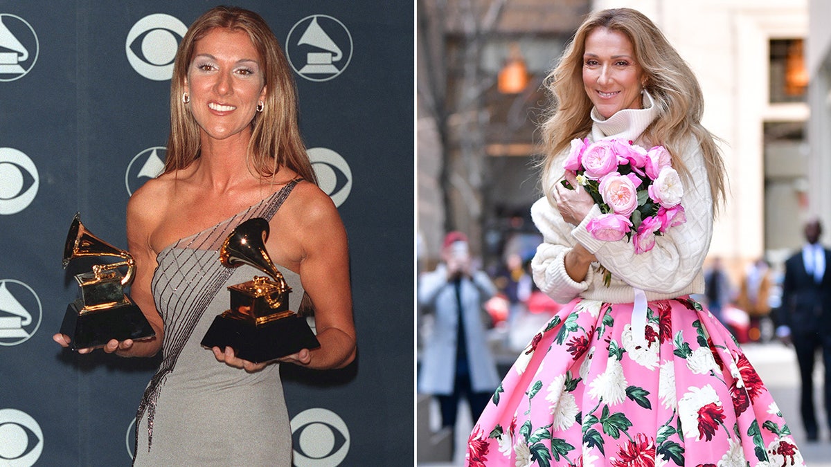 Celine Dion then and now