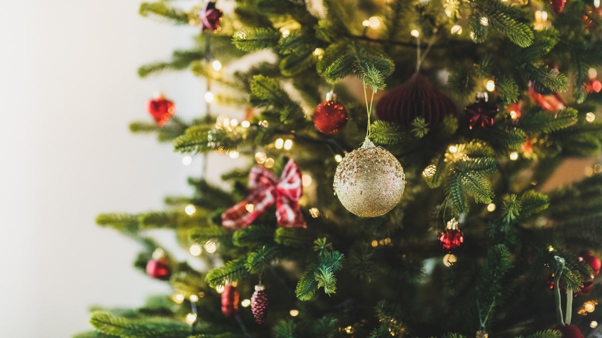 Stock image of a Christmas tree