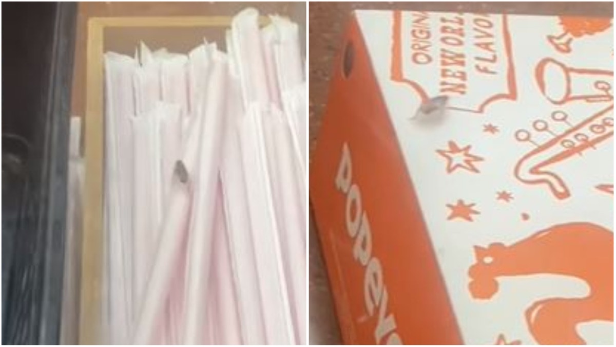 cockroaches at popeyes