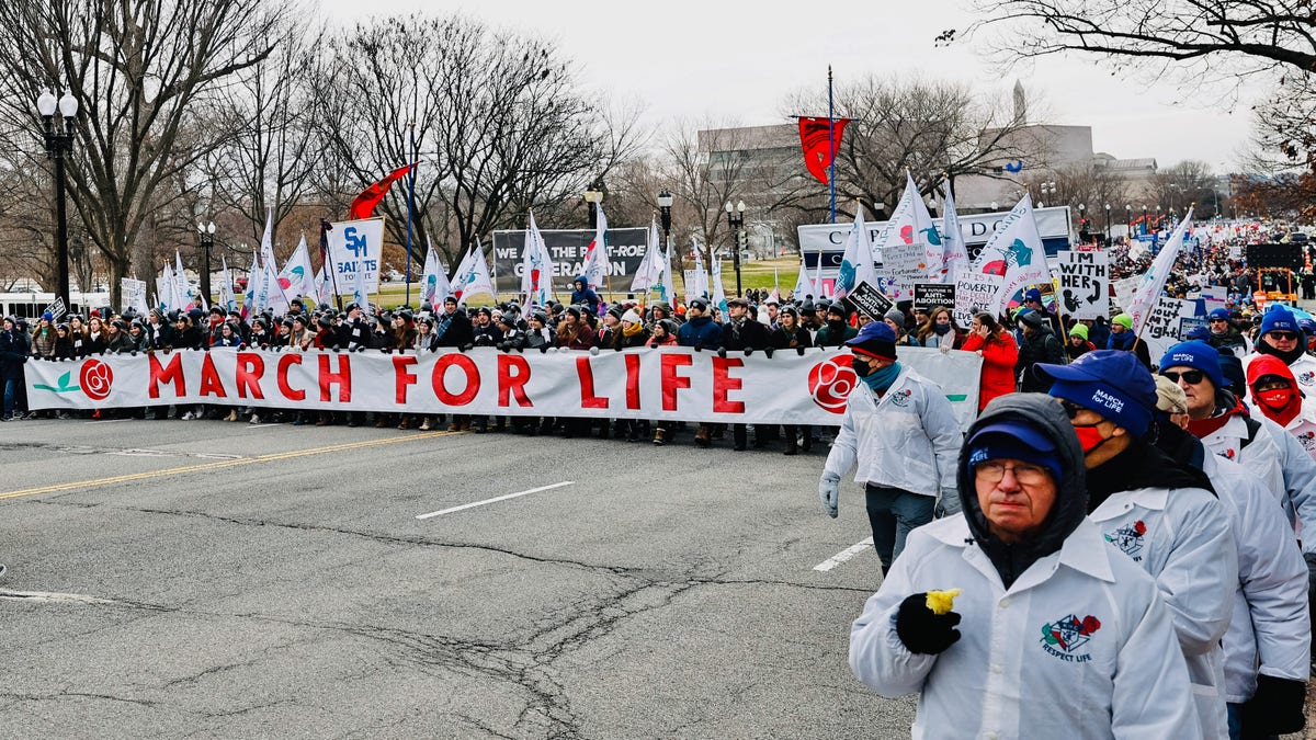 Marcha pela Vida em Washington, DC