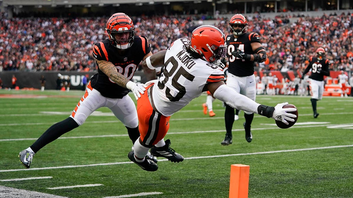 David Njoku dives for a TD