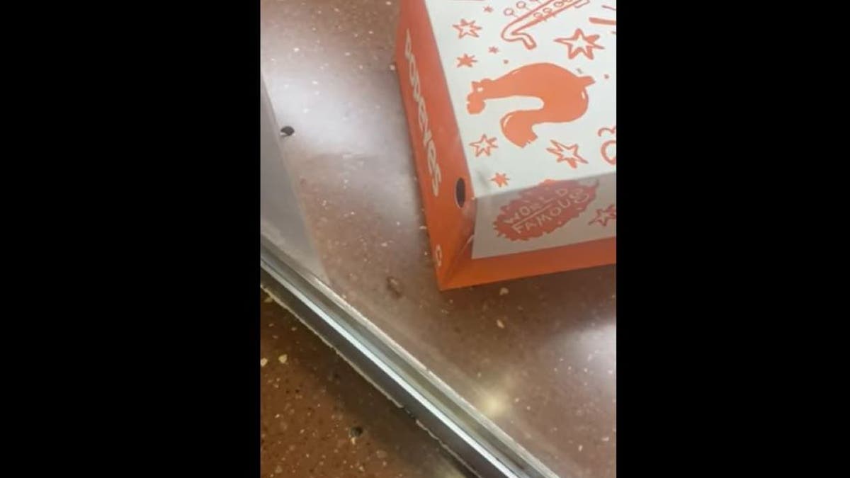 cockroach on Popeyes counter