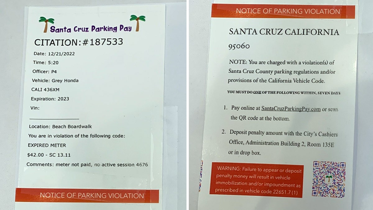 Fake Santa Cruz parking ticket