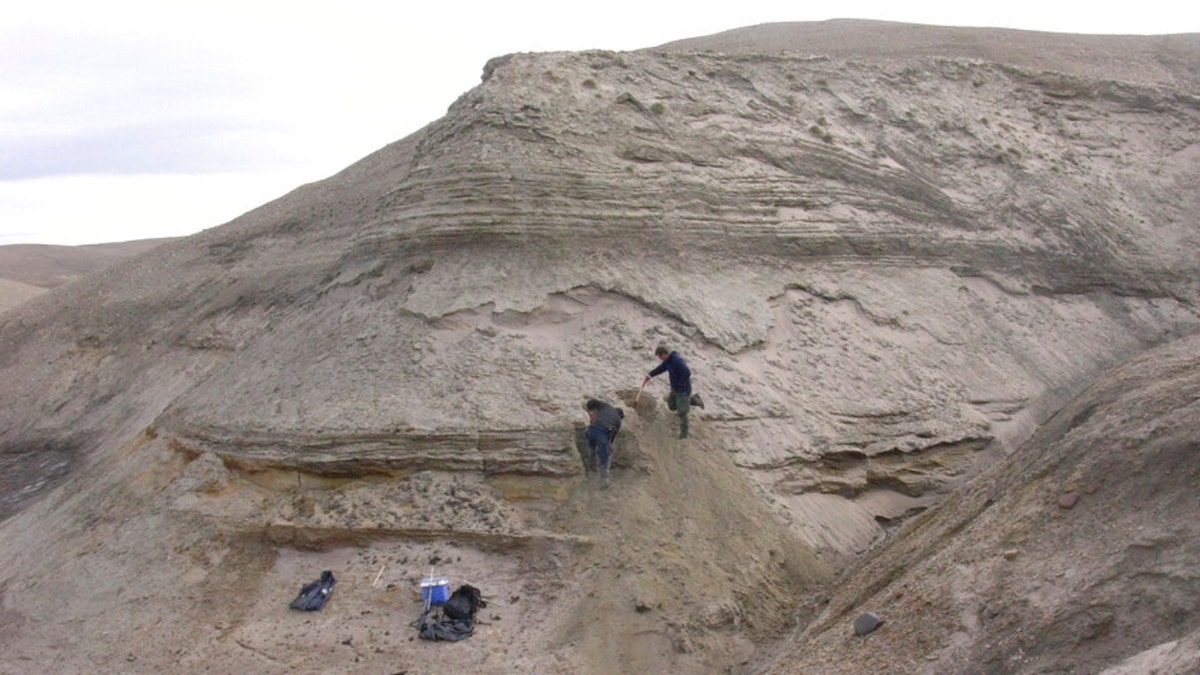 Professors expose fresh layers for sampling of sediments at Kap Kobenhavn, Greenland