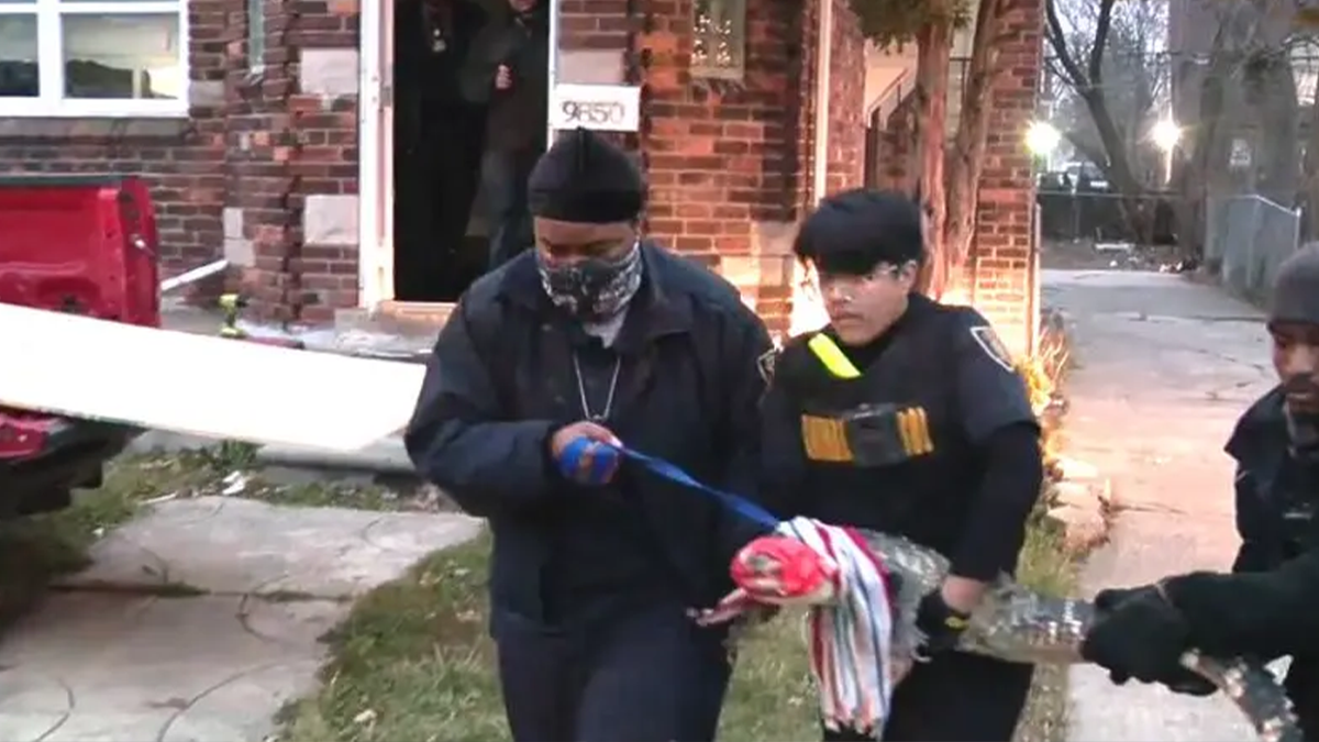 Family of alligators in Detroit greet police serving eviction notice | Fox News Family of alligators in Detroit greet police serving eviction notice | Fox News