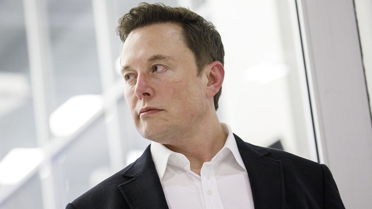 Elon Musk looks into the distance while standing in front of a white background