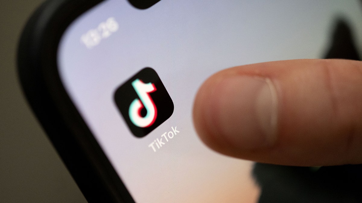 Omnibus bill bans TikTok on government phones just as the app is