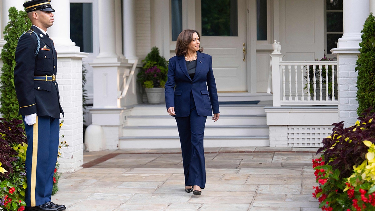 A photo of Kamala Harris