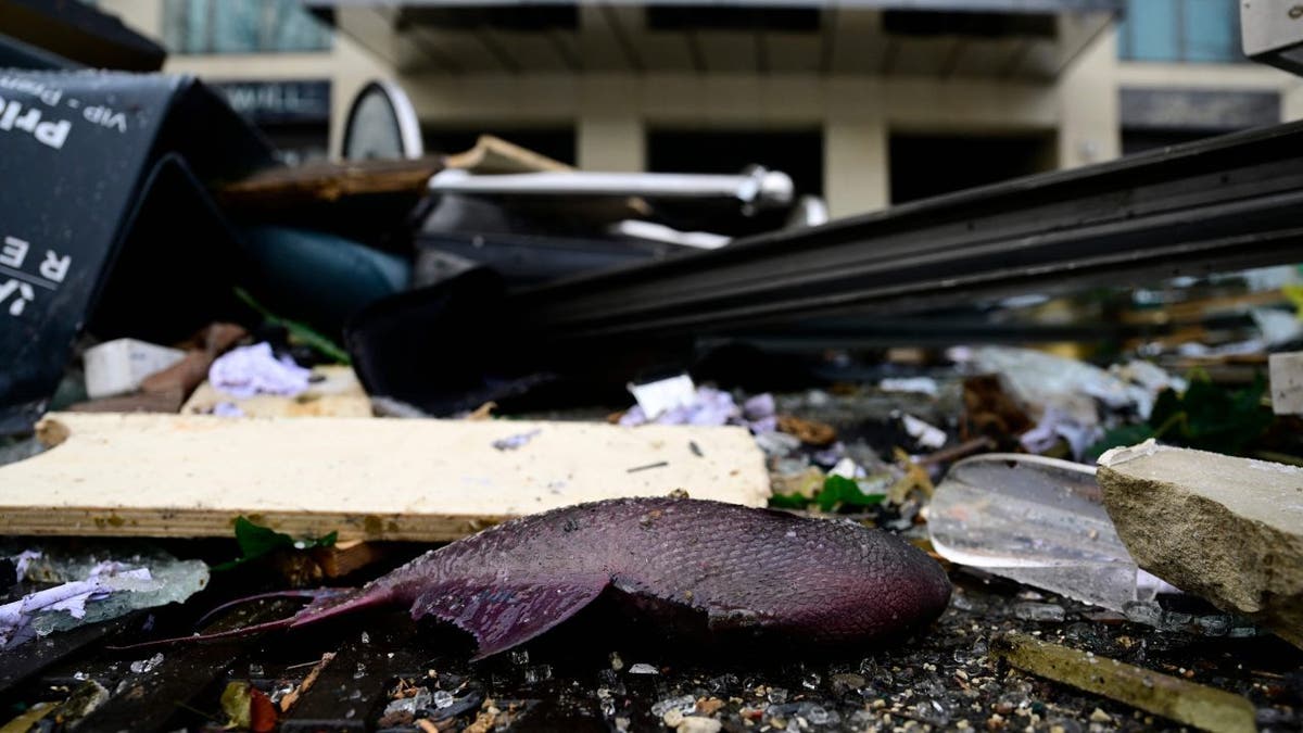 A dead fish lies in the debris in front of the Radisson Blu hotel, where a huge aquarium located in the hotel's lobby burst on Dec. 16, 2022, in Berlin.