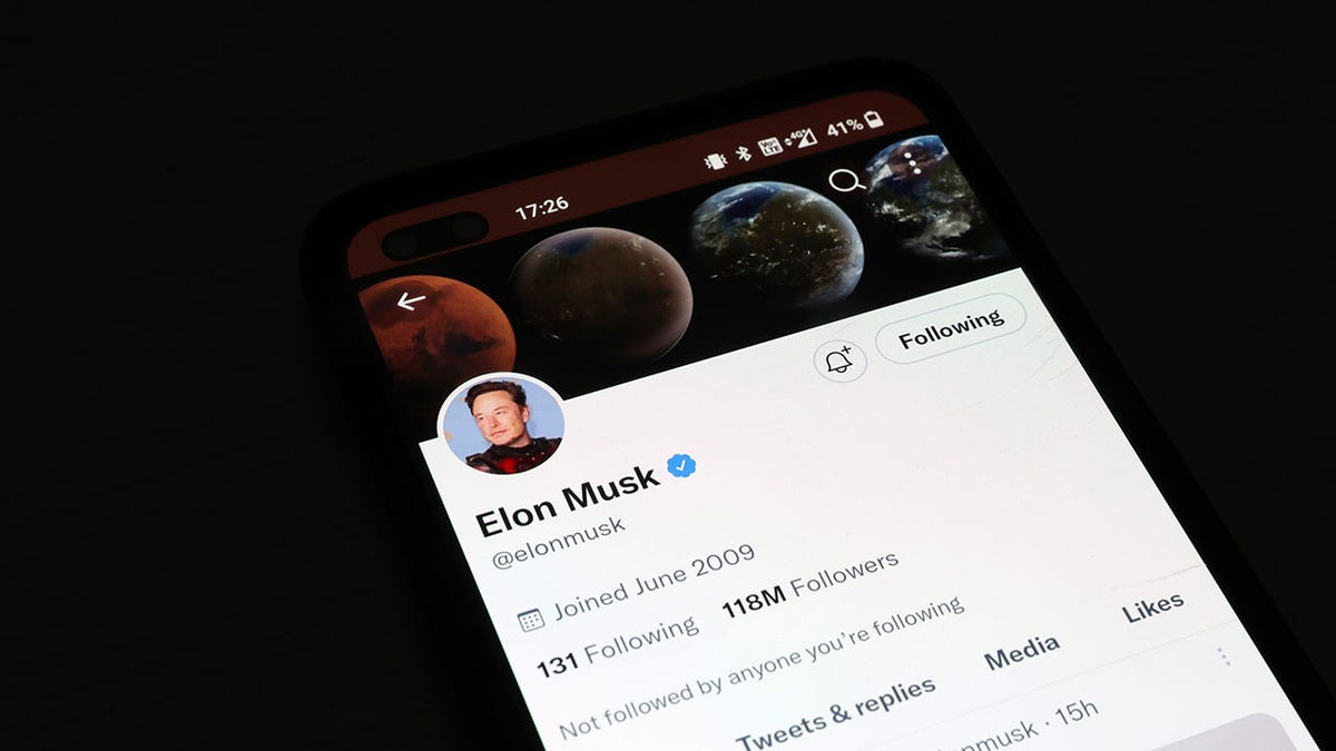 Elon Musk twitter profile