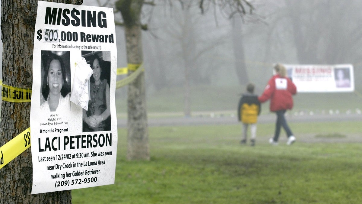 Laci Peterson missing poster on tree