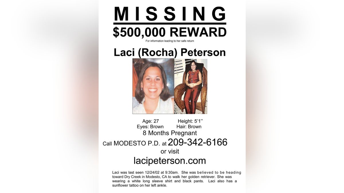 LACI PETERSON MISSING PERSON POSTER