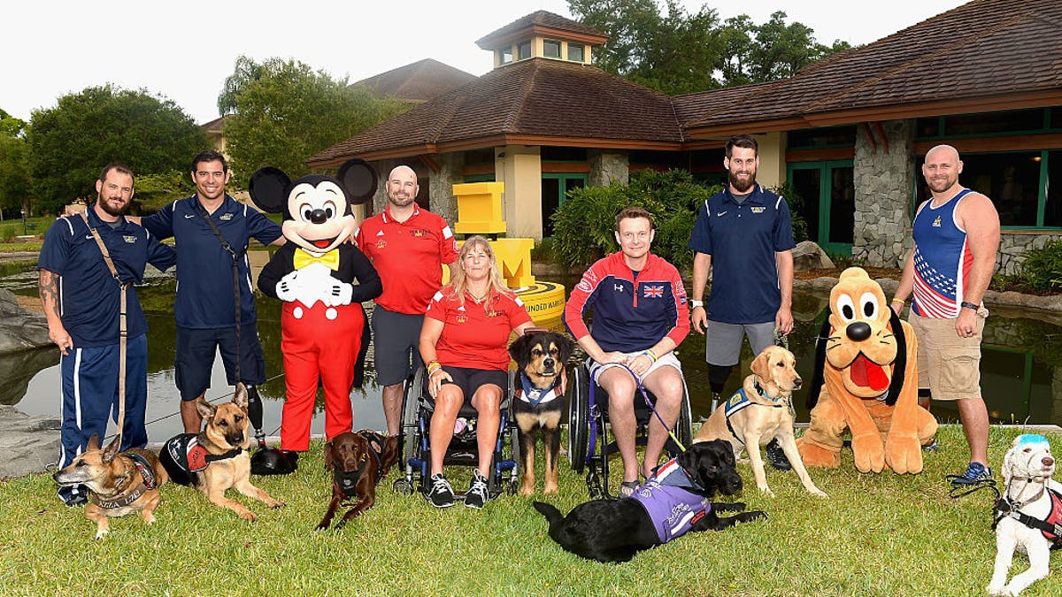 Dogs at Invictus Games