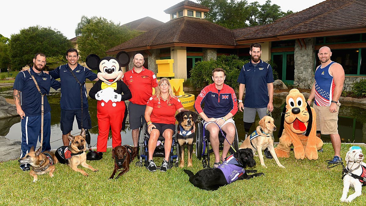 Dogs at Invictus Games