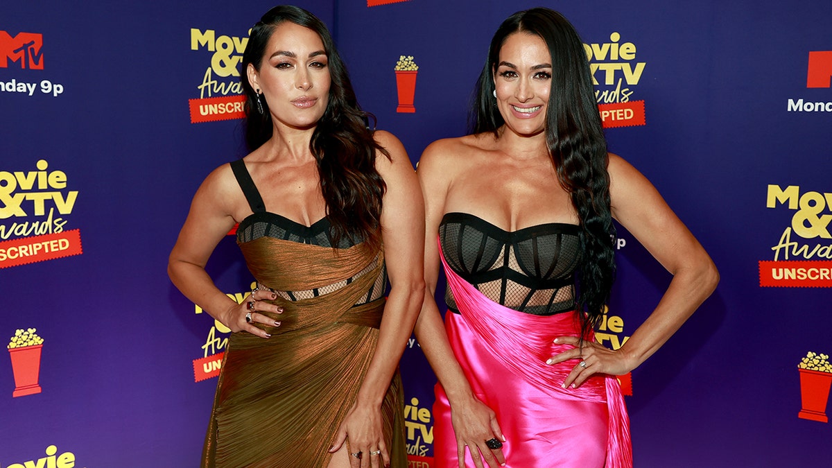 Brie and Nikki Bella posing on the red carpet.