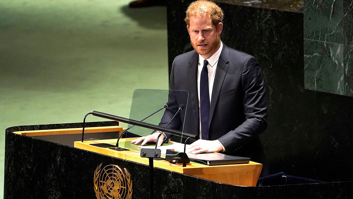 Prince Harry delivering a speech at the United Nations