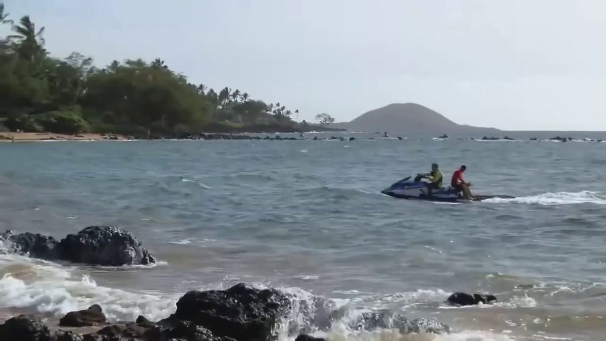 Shark encounter reported in Maui, Hawaii