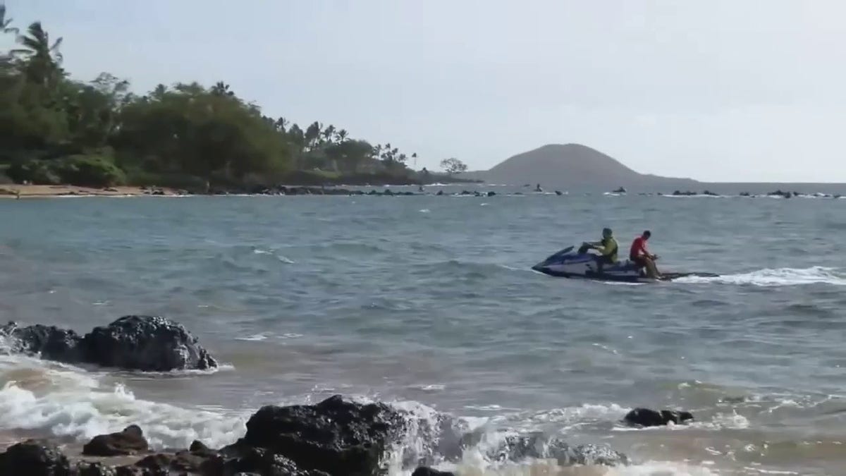 Shark encounter reported in Maui, Hawaii; woman missing