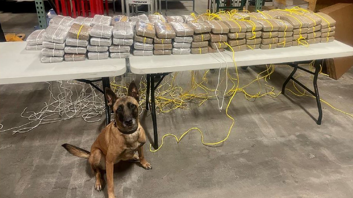 K-9 Mina with seized cocaine