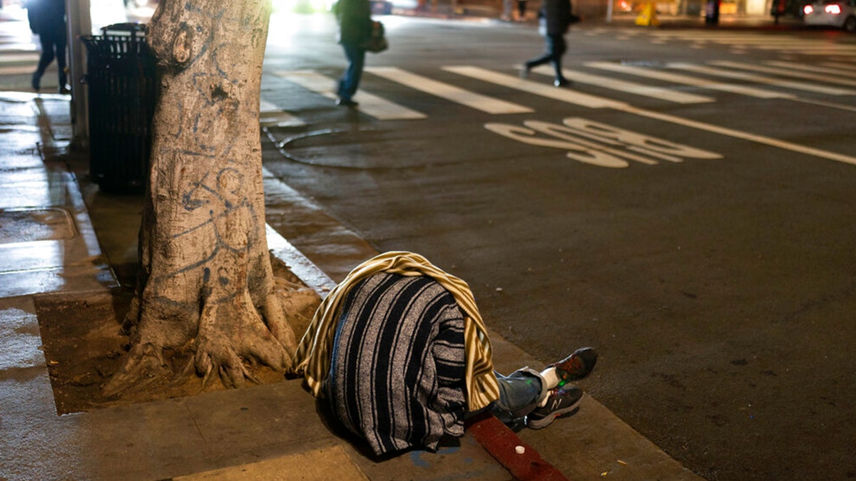 Los Angeles homeless person