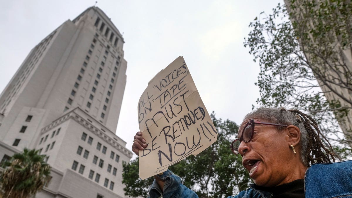 Protester holding a sign on the street.