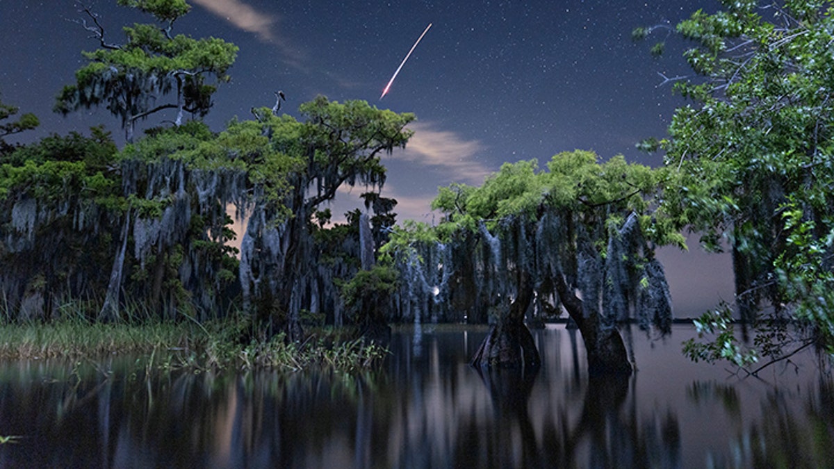 florida swamp spacex rocket