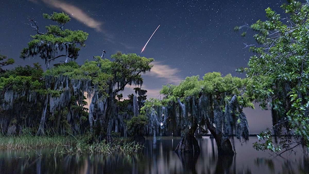 florida swamp spacex rocket