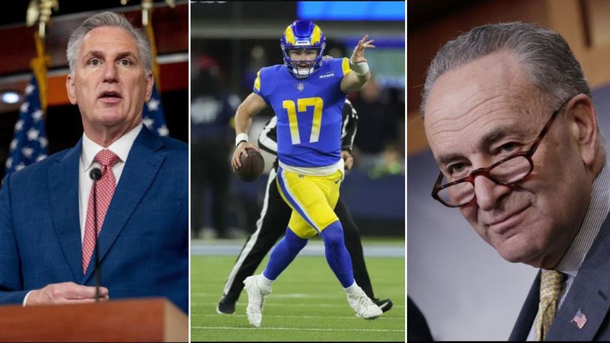 McCarthy, Schumer, and Mayfield