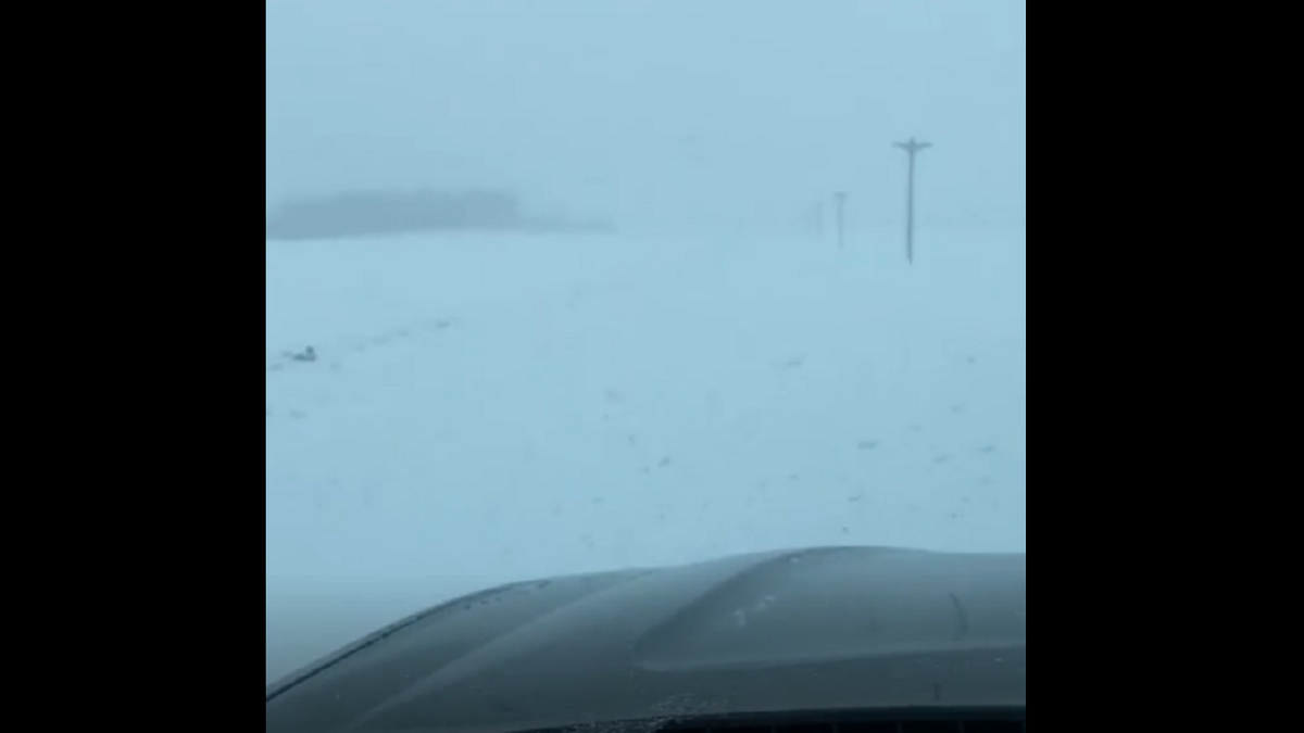 Winter storm hits Minnesota