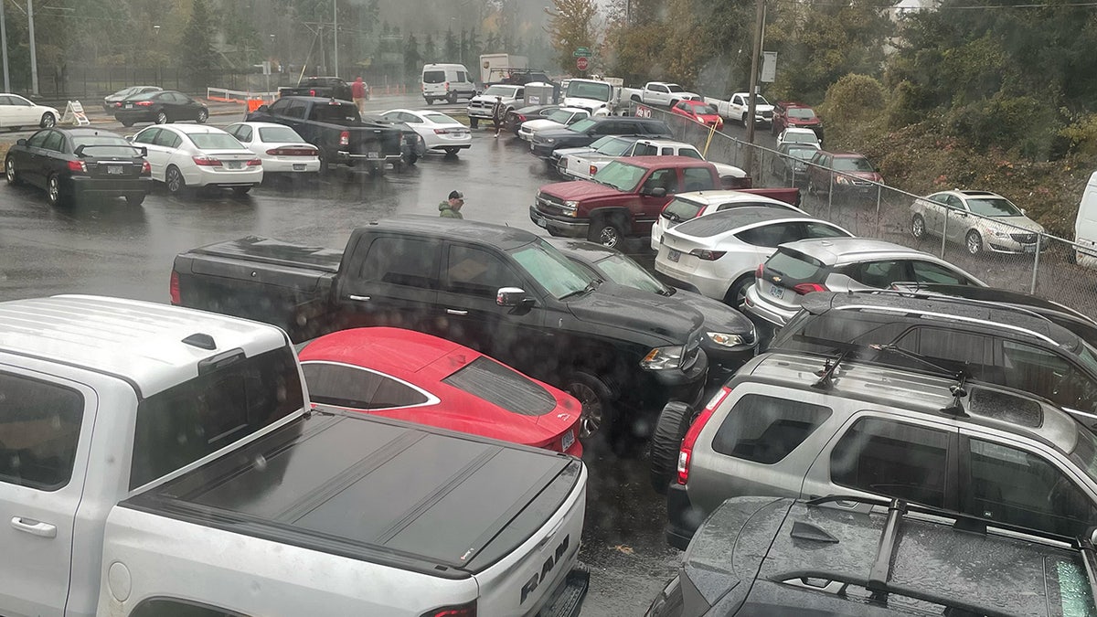 Cars packed into Northwest Armory gun store parking lot