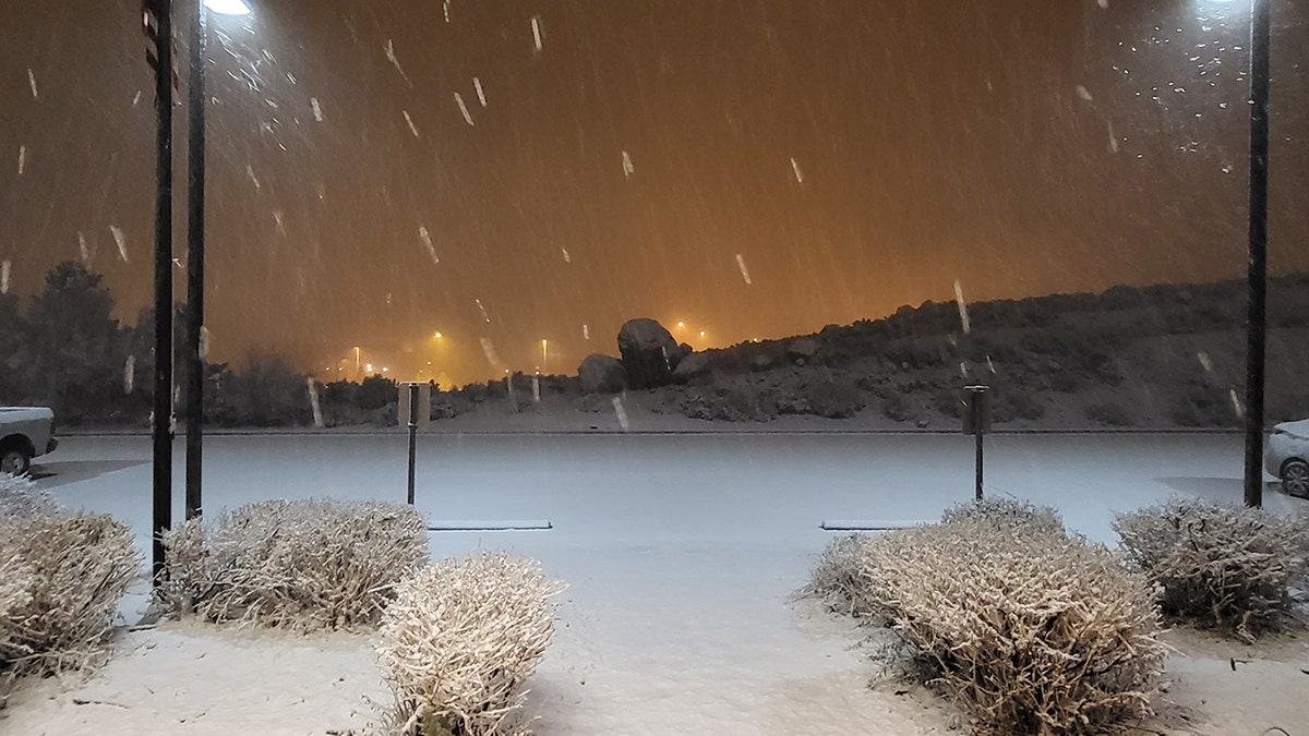 snow falling in Reno