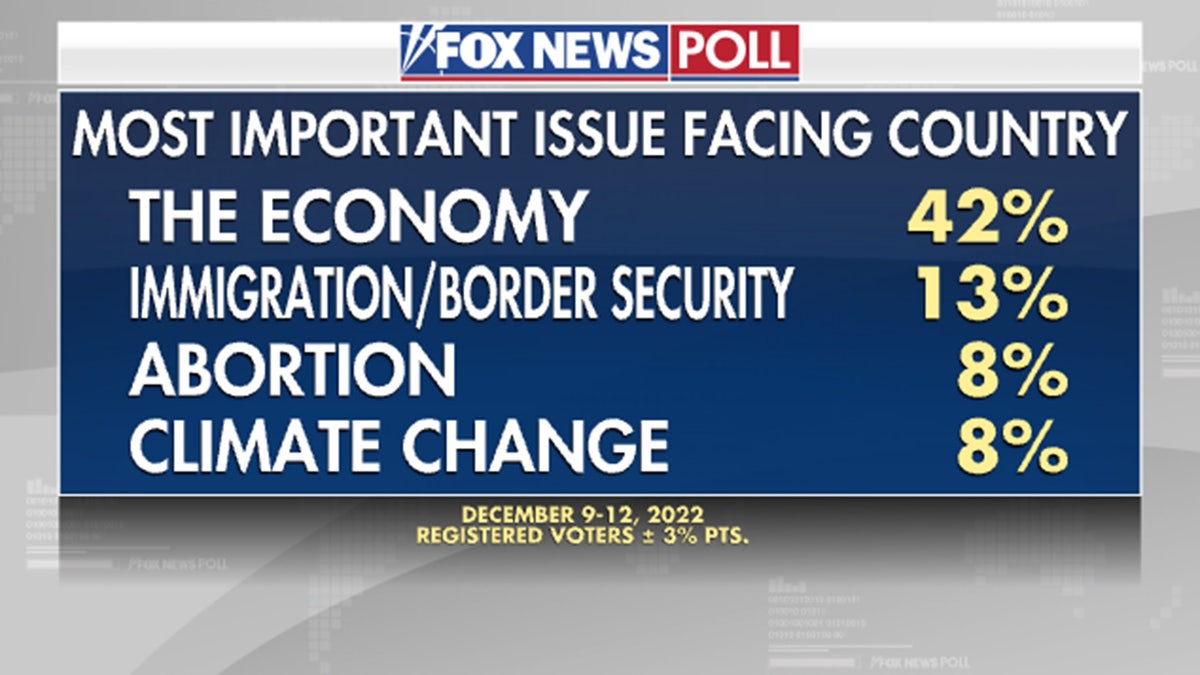 Poll most important issue