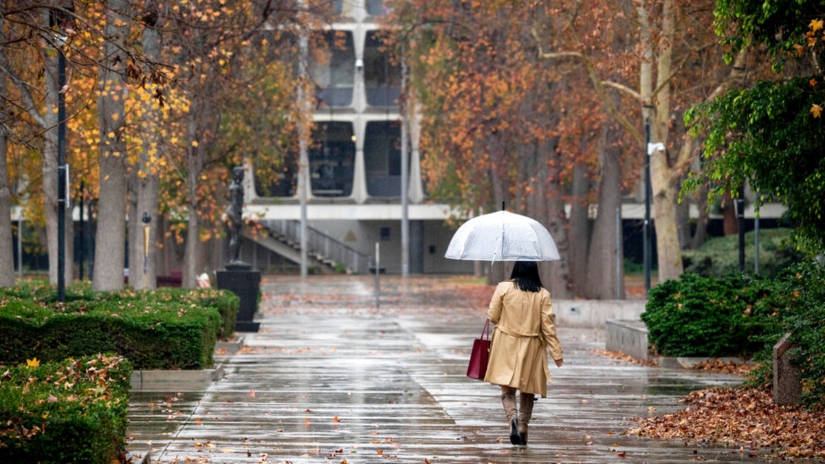 A woman with an umbrella walks near the Van Nuys, Calif., courthouse