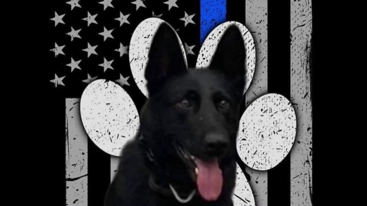 Photo of K-9 officer Riko