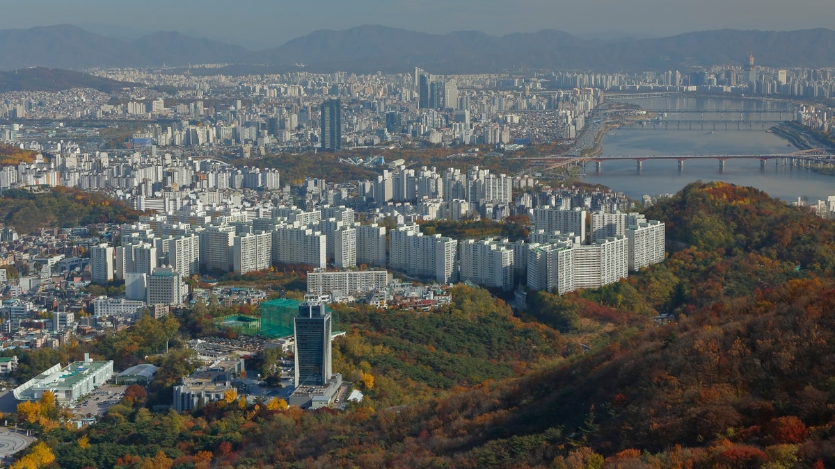 The Seoul. South Korea, city skyline